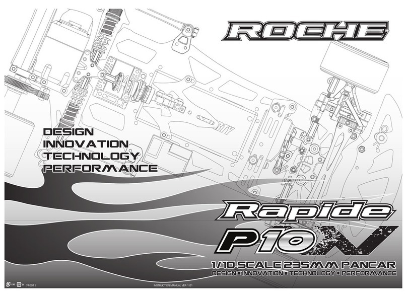 Roche Rapide P10 Assembly