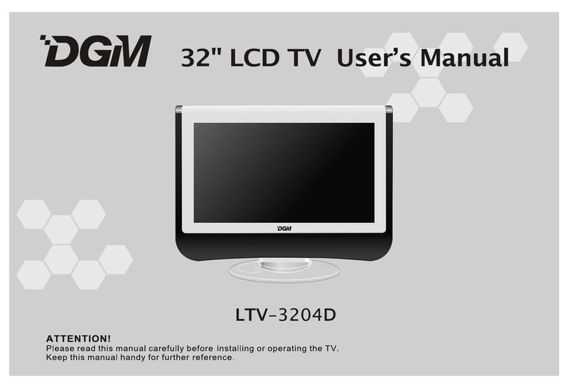 DGM LTV-3204D User manual