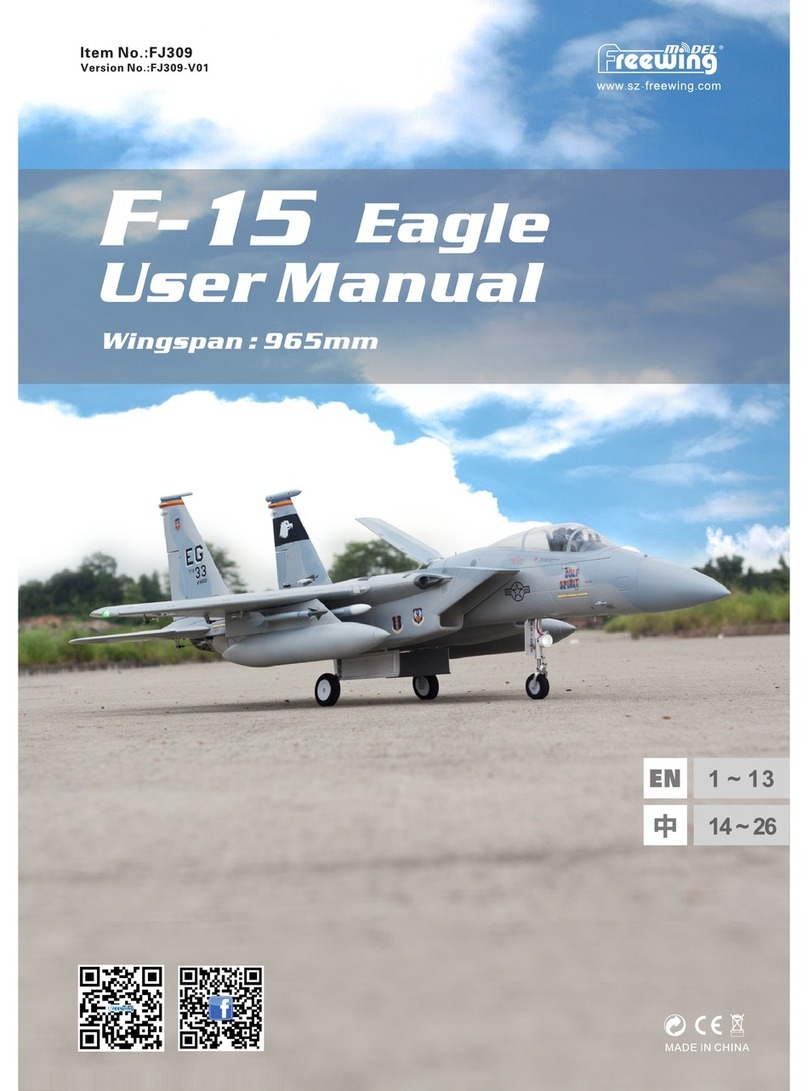 Freewing F-15 eagle user manual