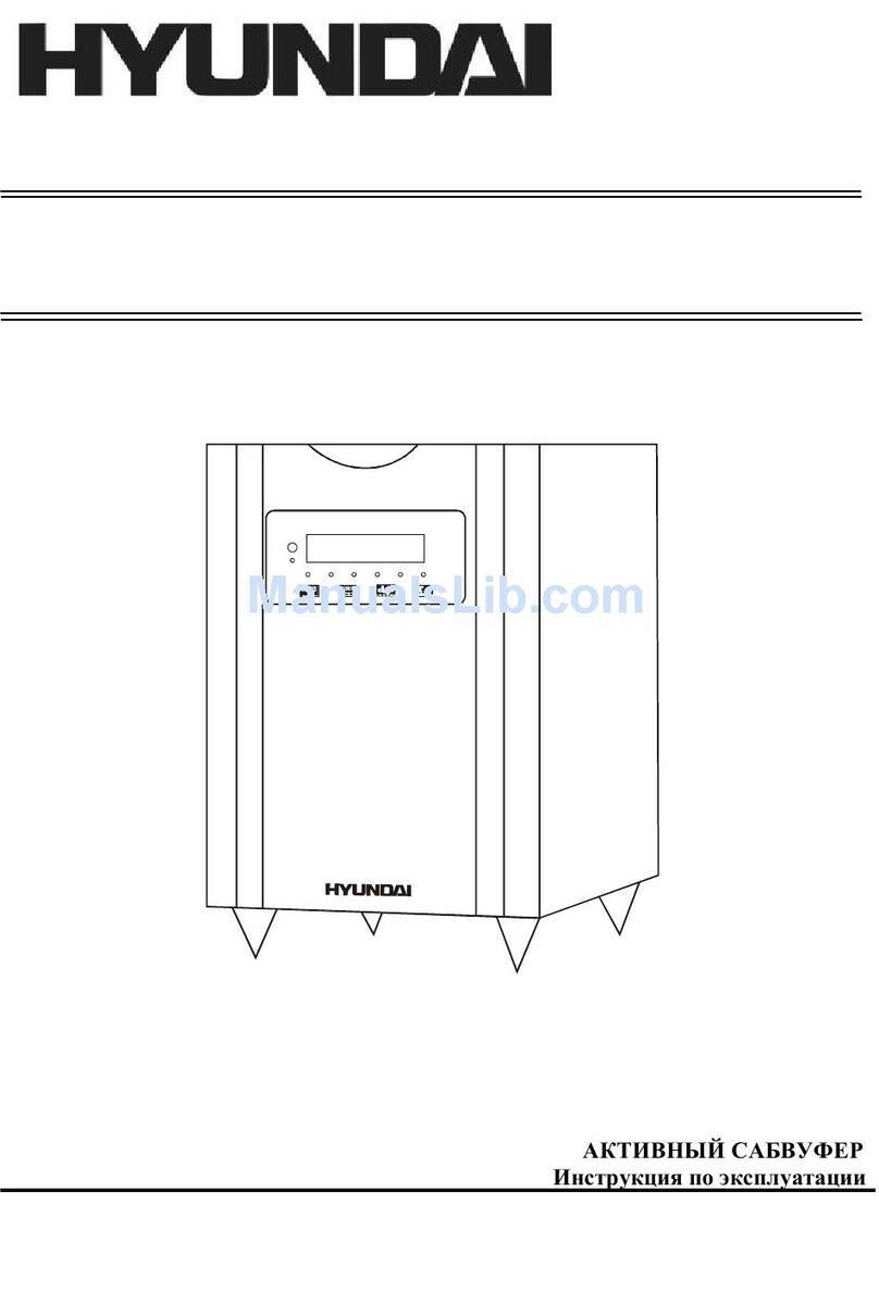 Hyundai H-HAS6032sub User manual