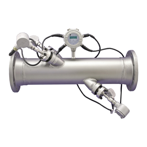 GE DigitalFlow XMT868i User guide