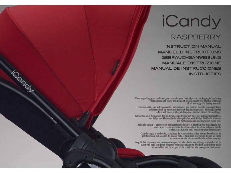 iCandy RASPBERRY User manual