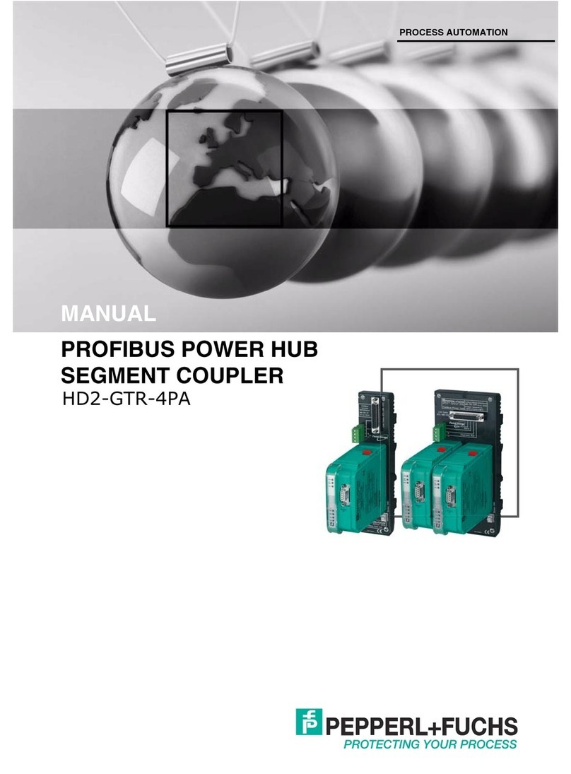 Pepperl+Fuchs HD2-GTR-4PA User manual