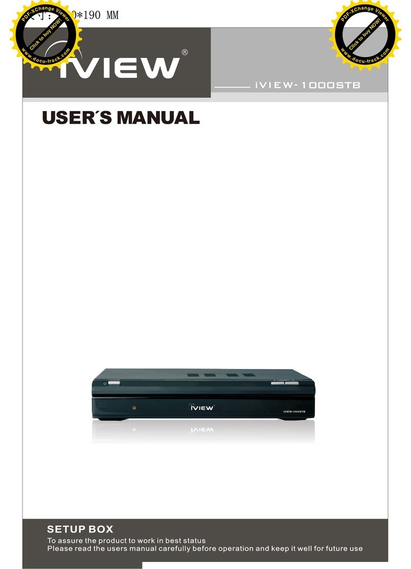 I-View 1000STB user manual