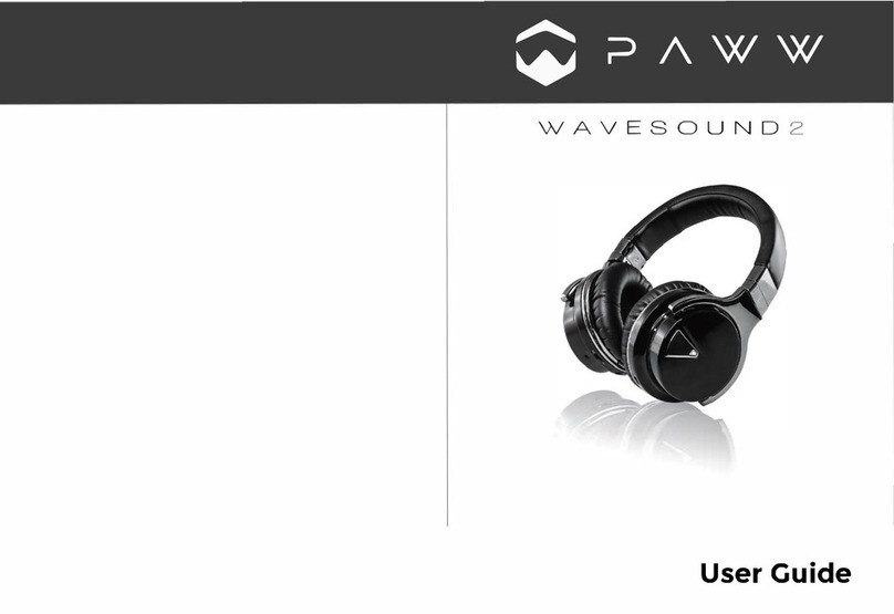 PAWW wavesound2 user guide