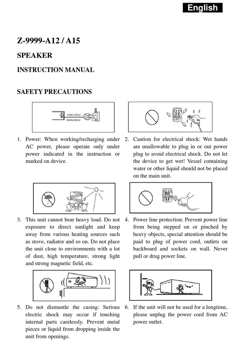 SAPIRHOME Z-9999-A12 User manual
