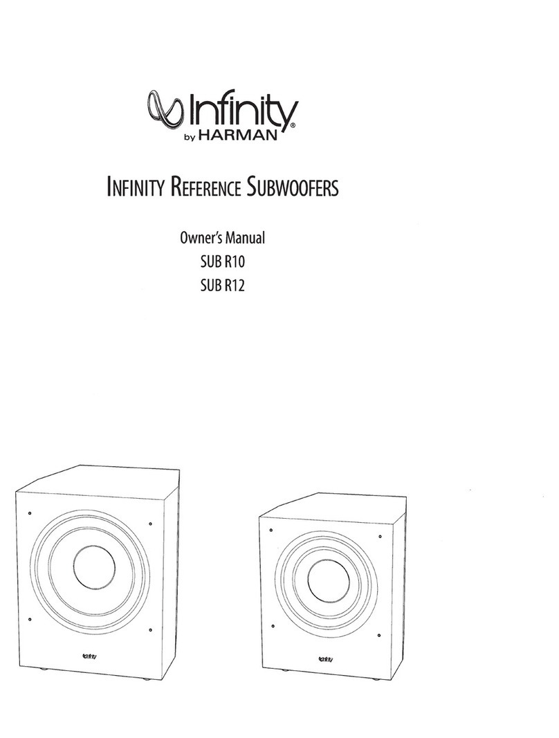 Infinity SUB R10 User manual