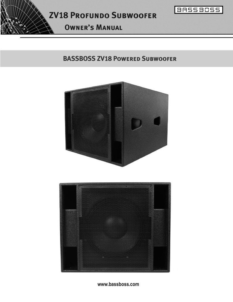 BassBoss Profundo ZV18 owner's manual