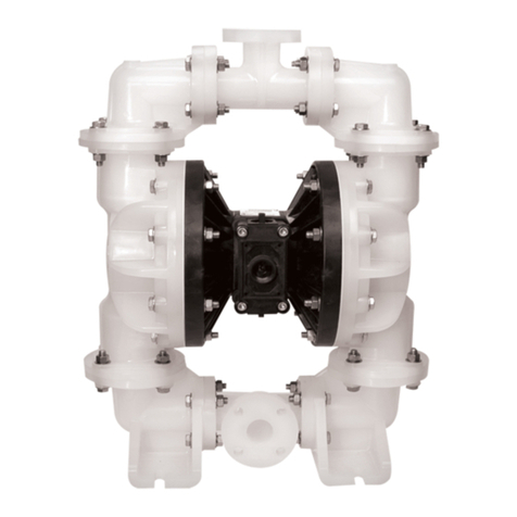 Sandpiper S20 User manual