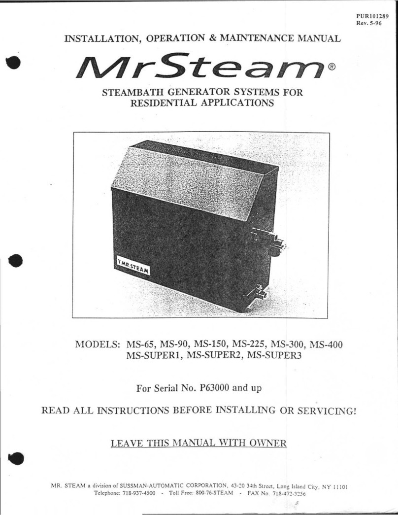 mr. steam MS-65 Instruction manual