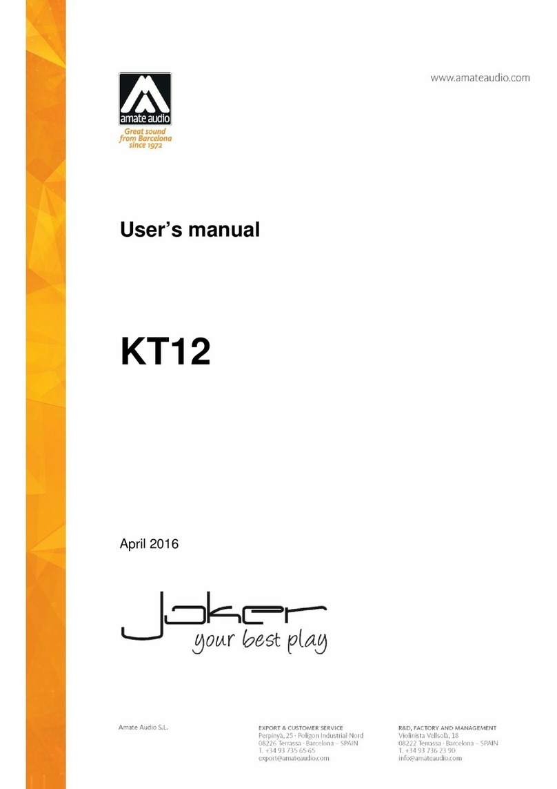 Amate Audio KT12 user manual