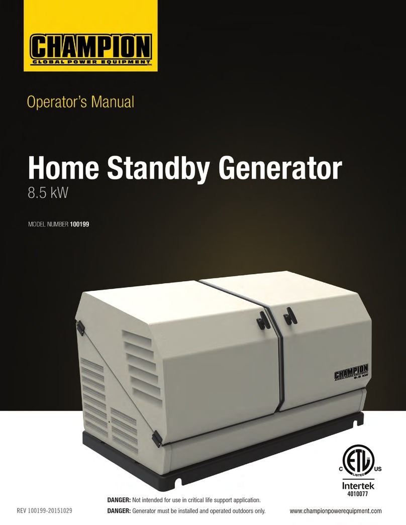Champion 100199 User manual