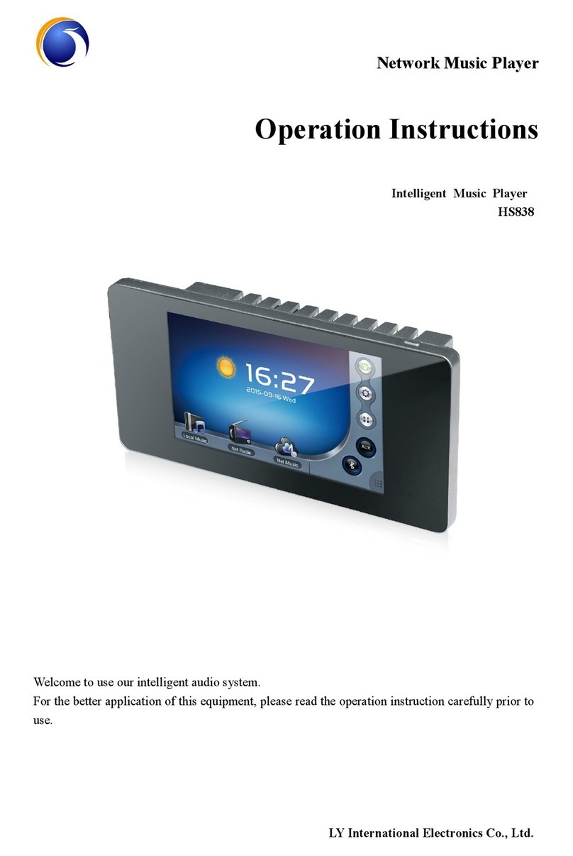 LY International Electronics hs838 Operation instructions