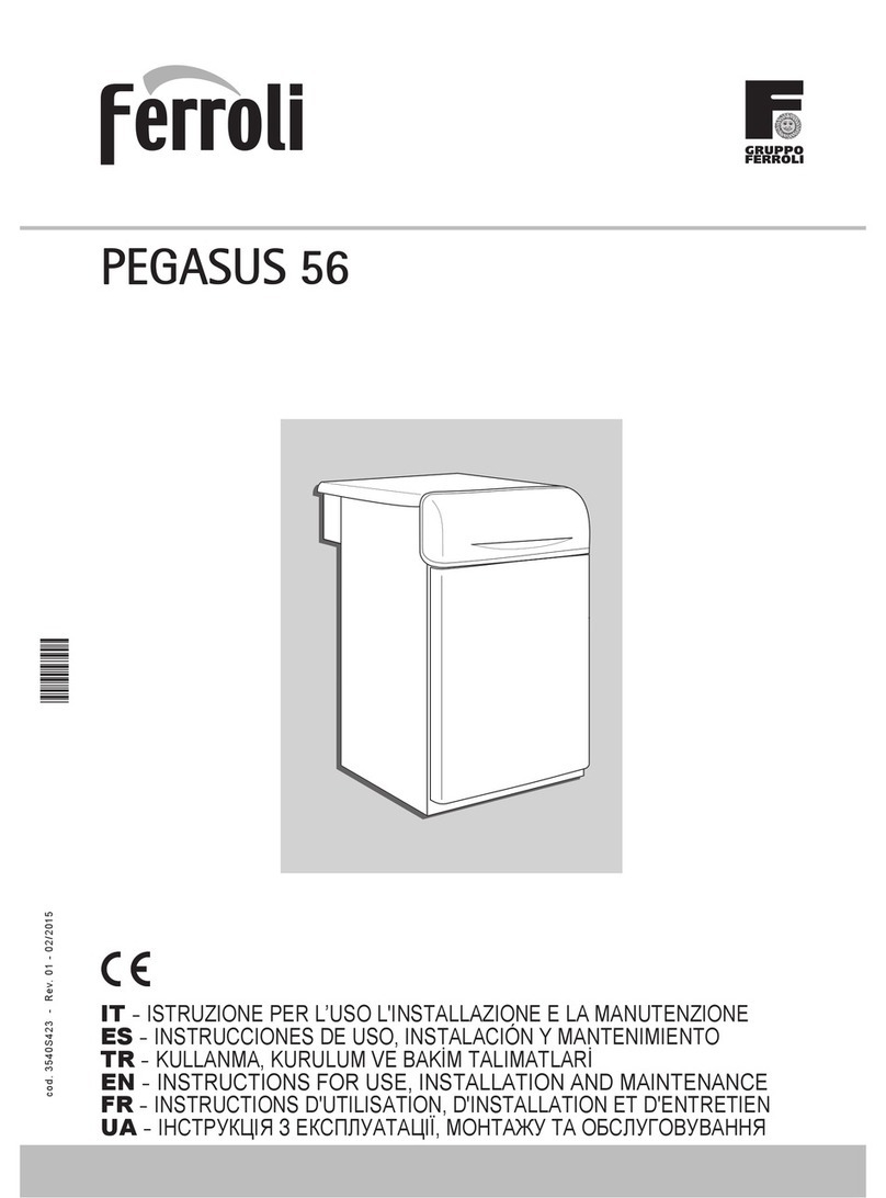 Ferroli PEGASUS 56 Troubleshooting guide
