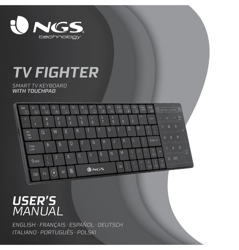NGS TV FIGHTER user manual