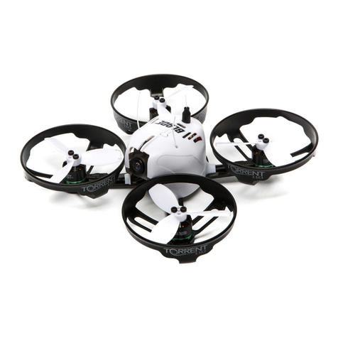 Horizon Hobby blade torrent 110 instruction manual