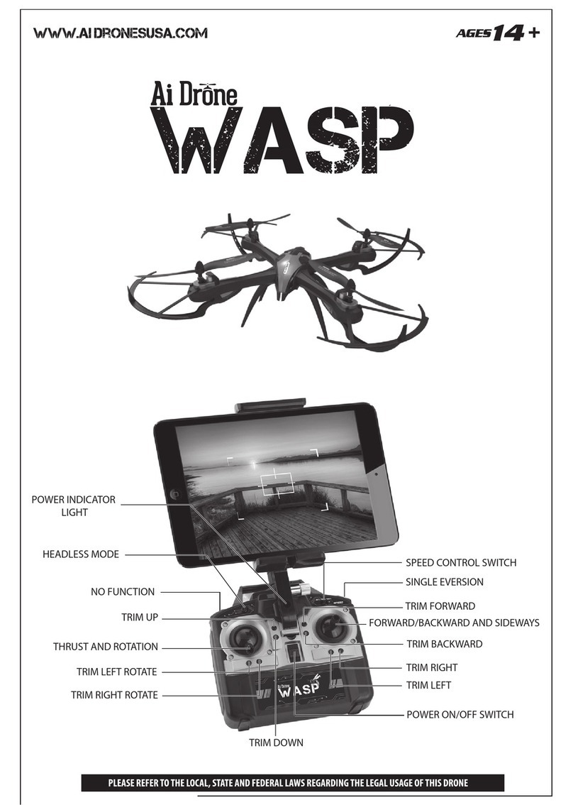 AI DRONE WASP manual