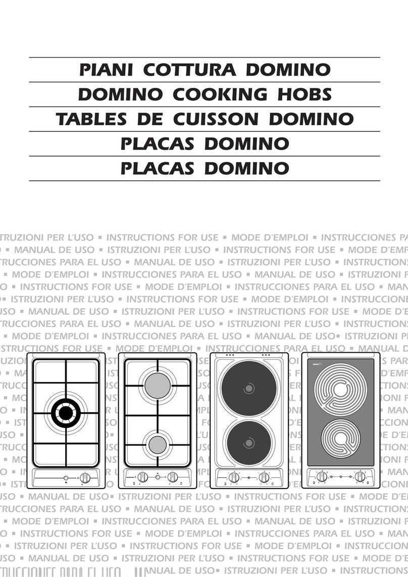 Domino II 2H3+ User manual