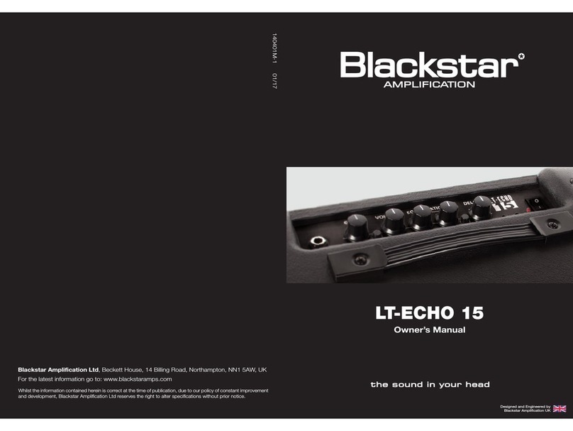 BLACK STAR LT-ECHO 15 User manual