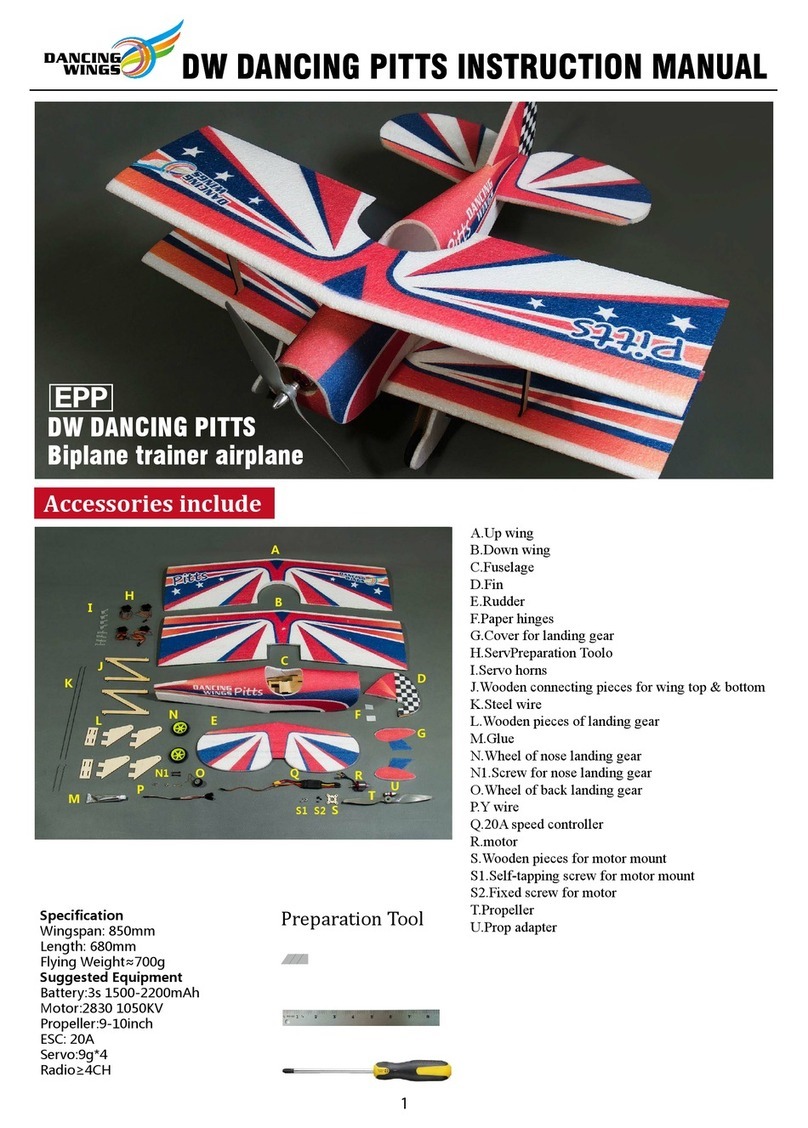Dancing Wings DW DANCING PITTS instruction manual