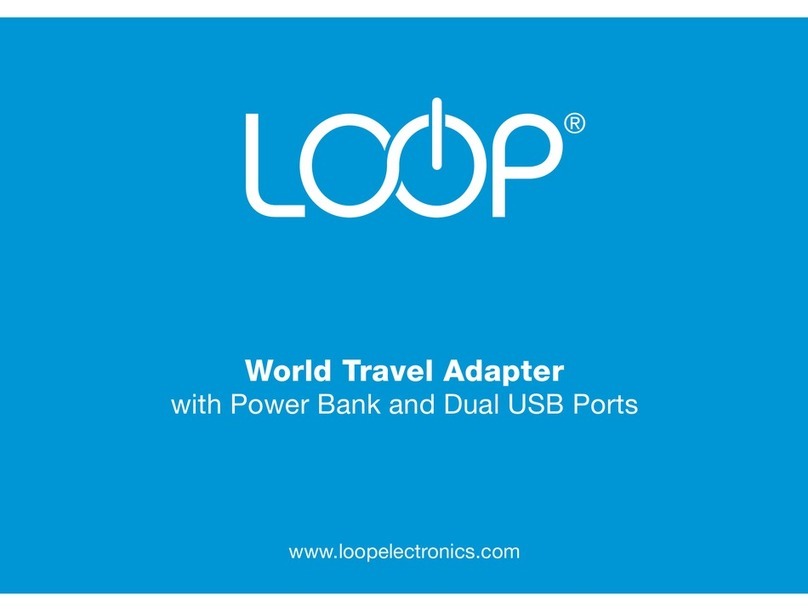 LOOP Electronics LE-TA02 User manual