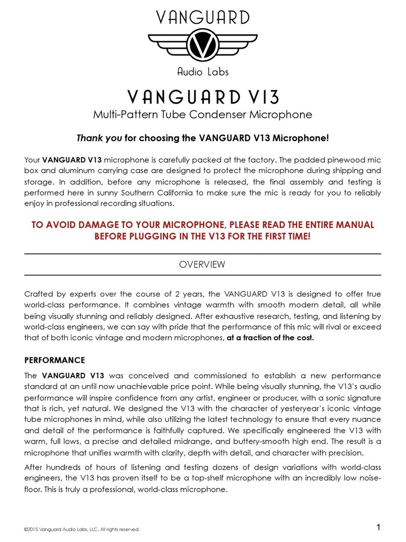 Vanguard V13 manual