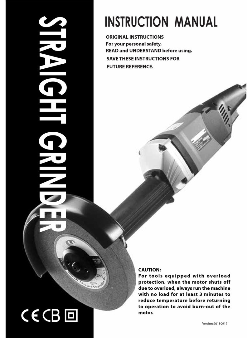 AGP SG6 User manual