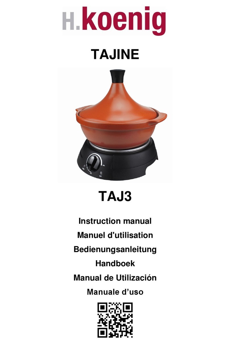 H.Koenig TAJ3 instruction manual