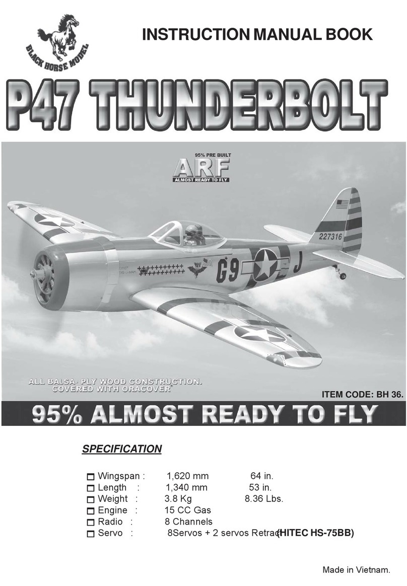 Black Horse Model P47 Thunderbolt Owner's manual