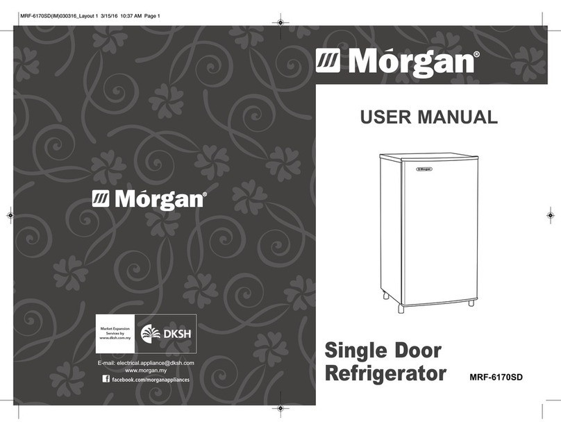 Morgan MRF-6170SD user manual