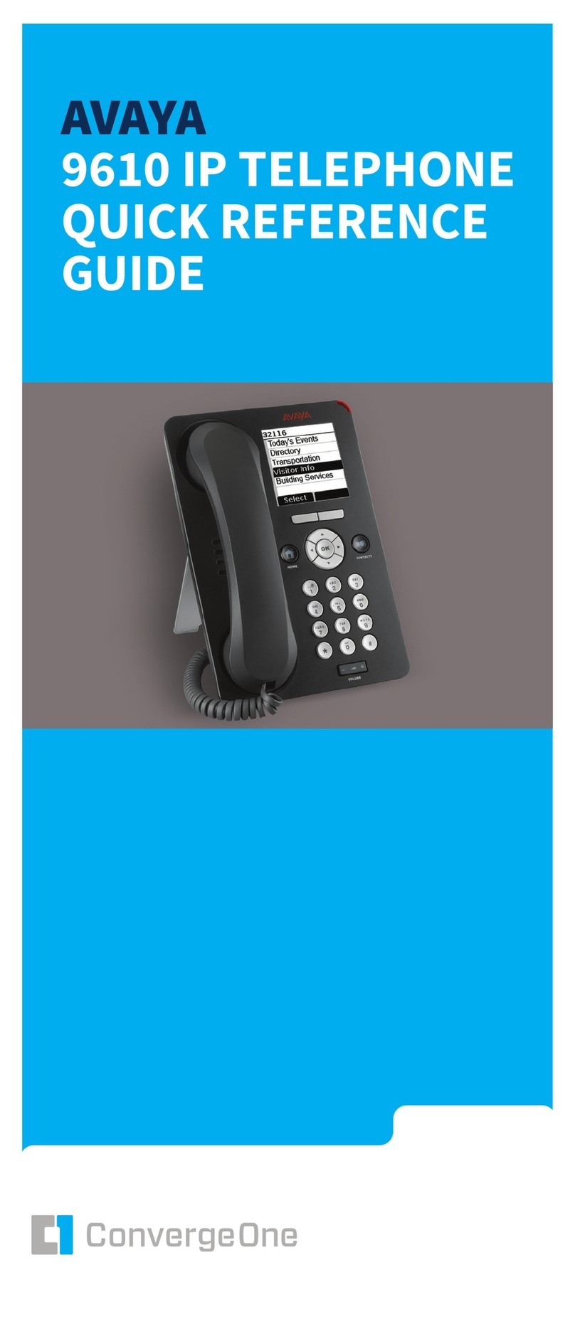 Avaya 9610 User manual