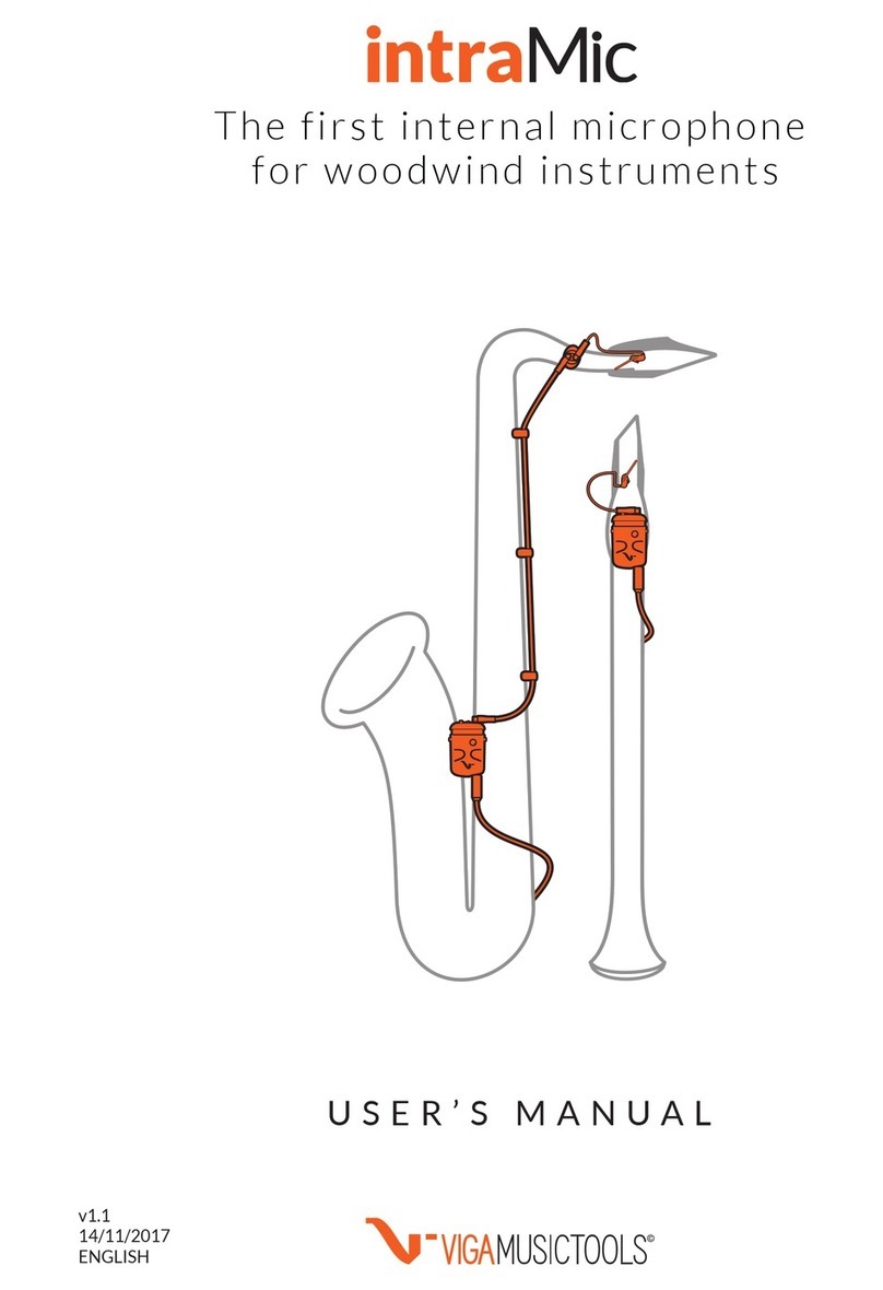 VigaMusicTools intraMic User manual