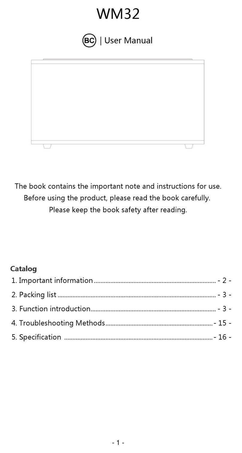 Rayer Acoustic WM32 user manual