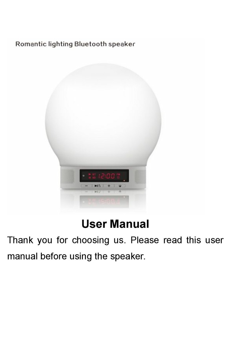 ShenZhen Allmart Electronic LV700 user manual