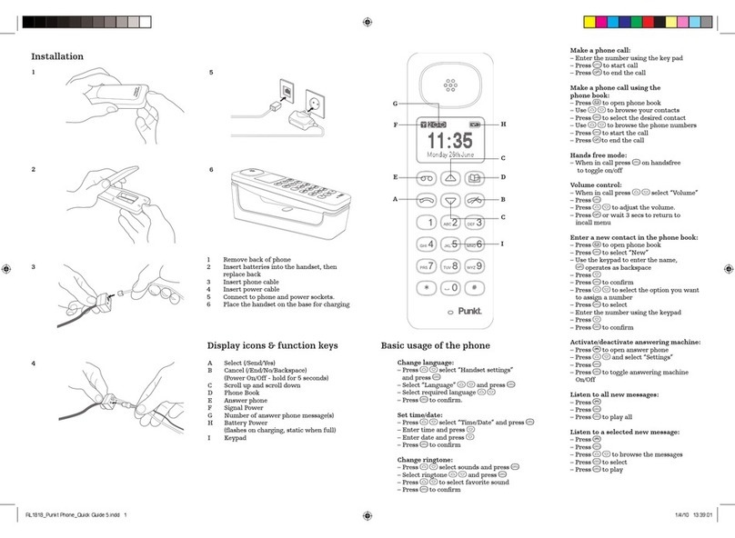 Punkt DP 01 quick guide