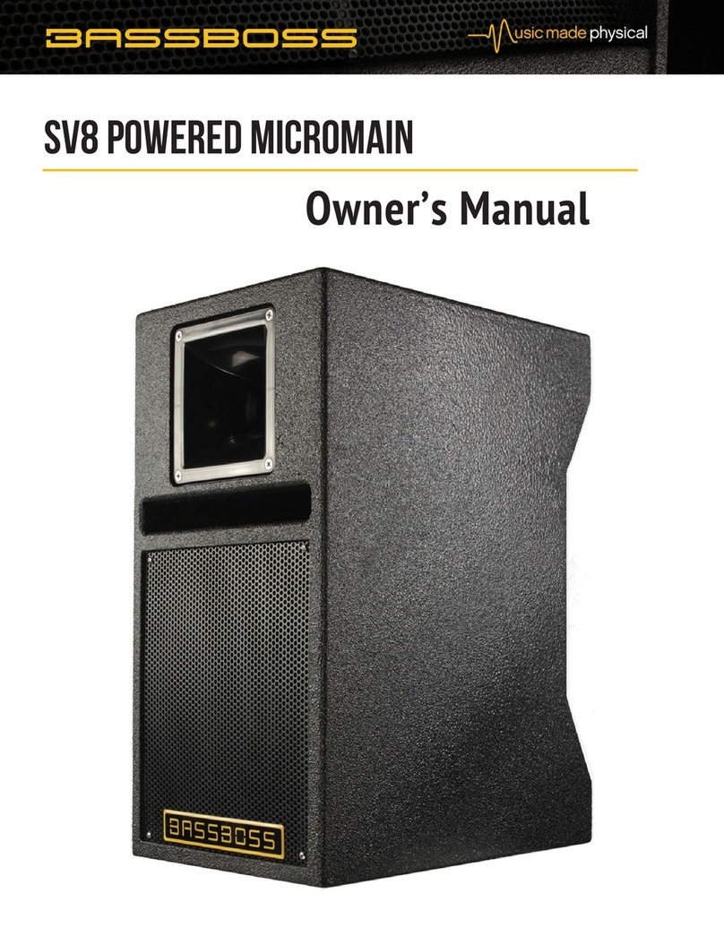 BassBoss SV8 Powered MicroMain User manual