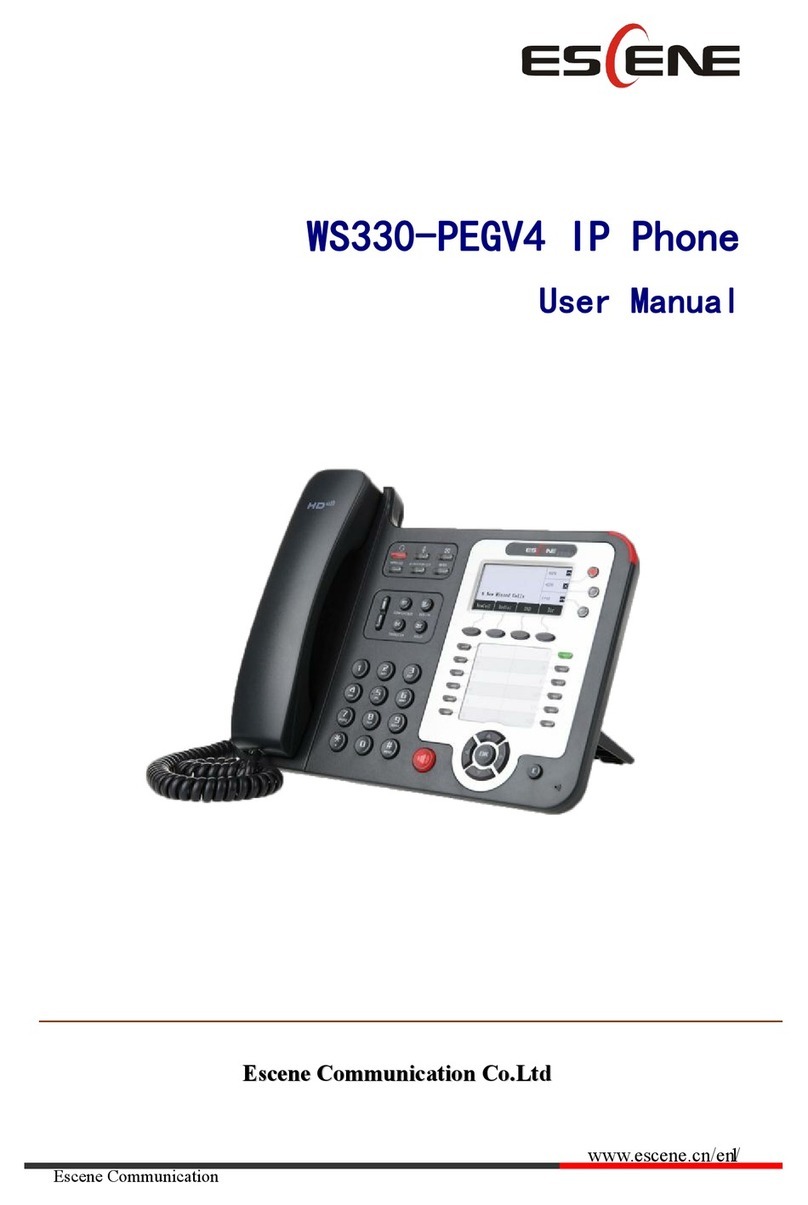 ESENE WS330-PEGV4 user manual