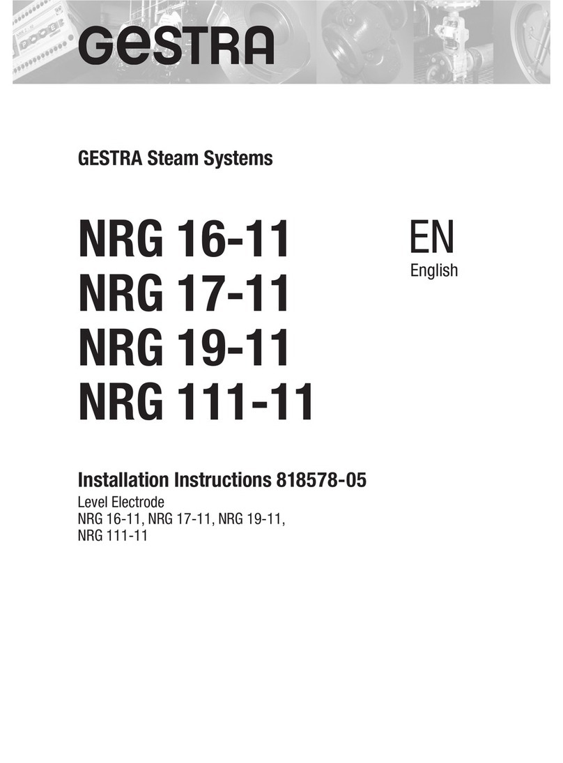 GESTRA NRG 16-11 installation instructions