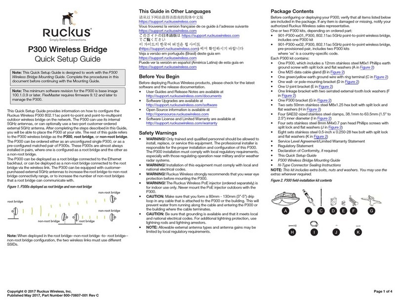 Ruckus Wireless ZoneFlex P300 User manual
