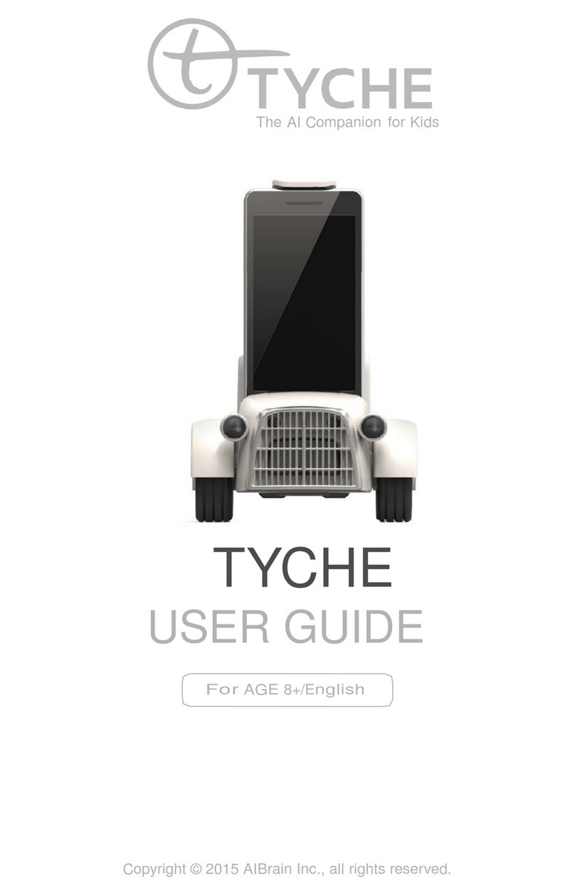 AIBrain Tyche user guide