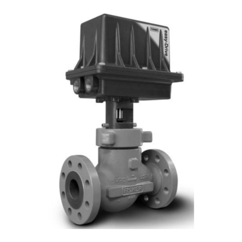 Emerson Fisher D4 User manual