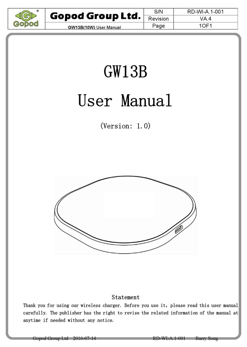 Gopod Group GW13B user manual