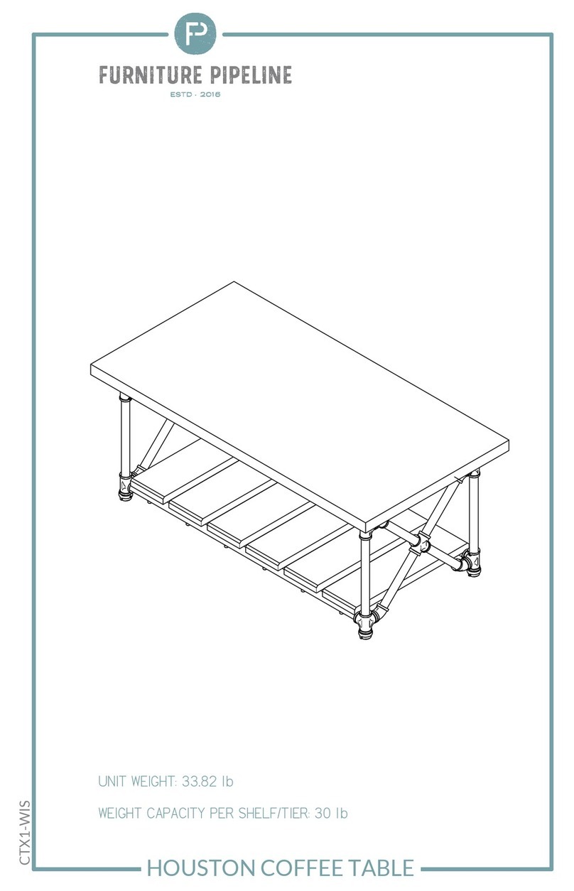 Furniture Pipeline CTX1-WIS User manual