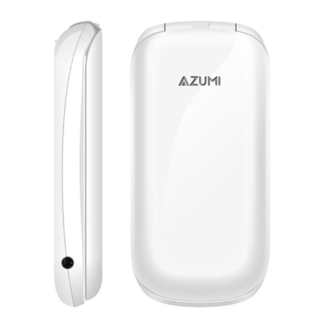 Azumi Asari A24 User manual