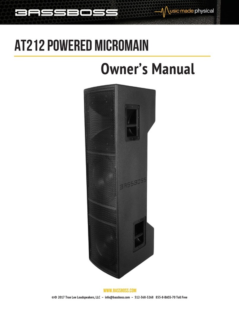 BassBoss AT212 Powered MicroMain owner's manual