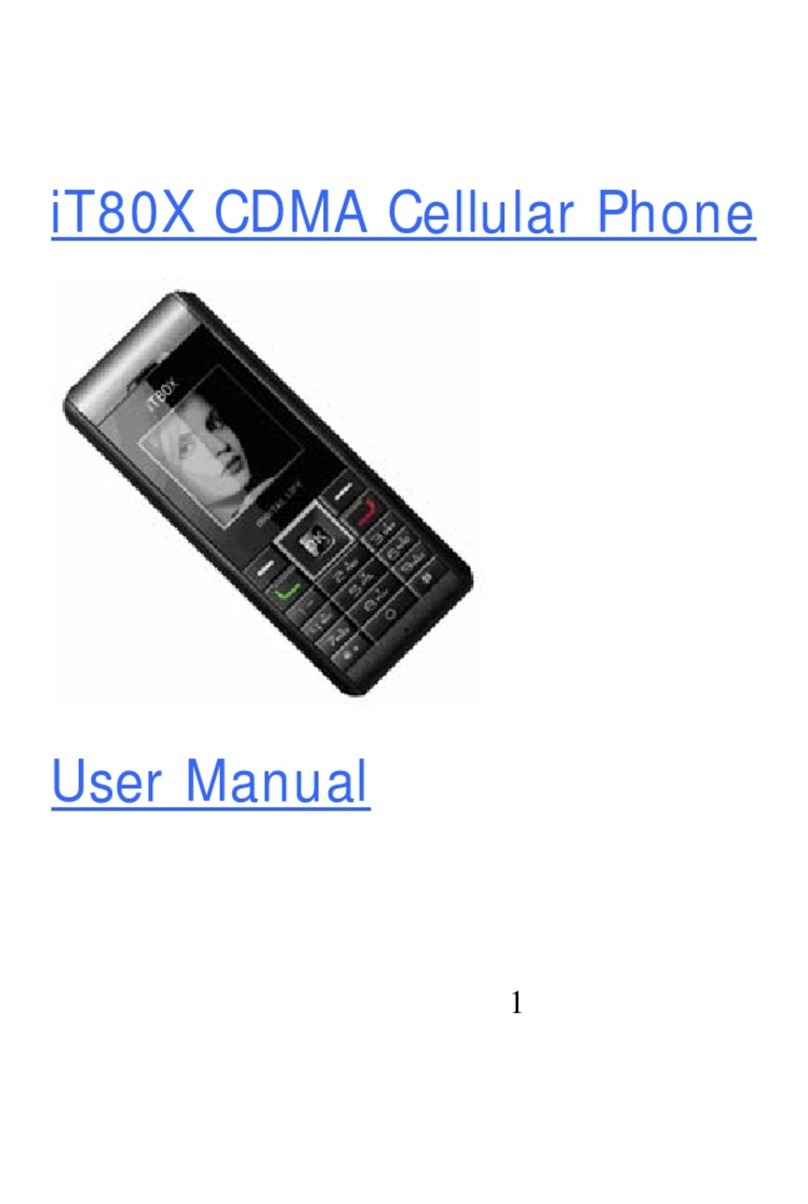 I-Tech iT80X user manual