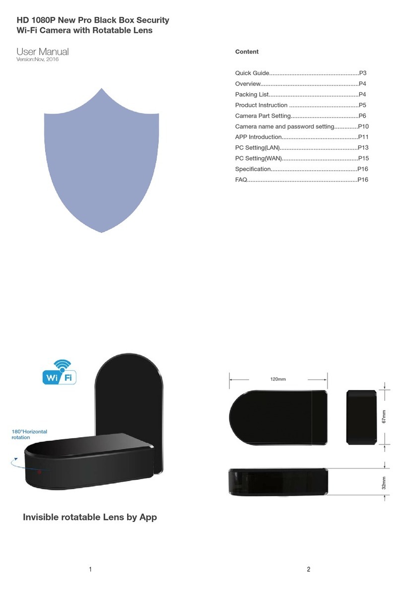 Aishine Electronics AI-IP012 User manual