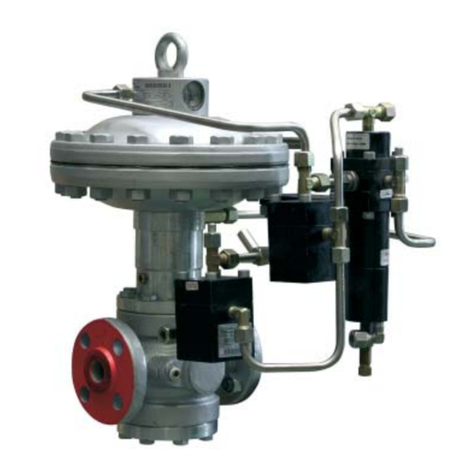 PIETRO FIORENTINI REFLUX 819/FO User manual