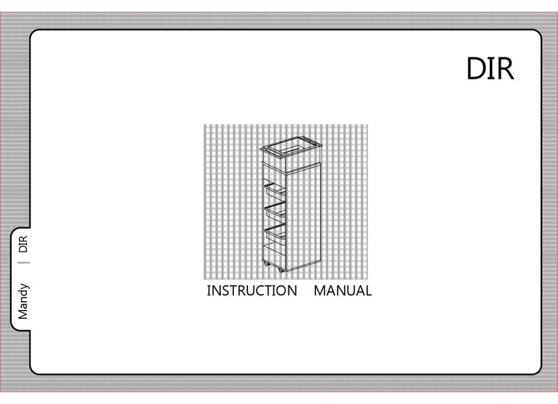 DIR Mandy User manual DIR Mandy User manual