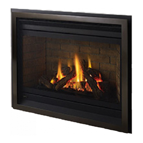 Regency Fireplace Products P36D-NG10 manual